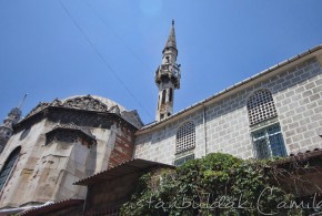Ali Fakih Camii - Ali Fakih Mosque