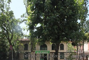 Haydar KethÃ¼da Camii - Haydar KeyhÃ¼da Mosque