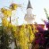Kumsal Camii - Kumsal Mosque
