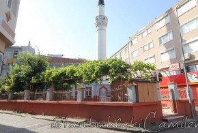 Cafer AÄa Camii - Cafer Aga Mosque
