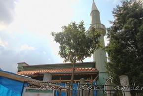 Ä°smet Efendi Tekke Camii - Ismet Efendi Tekke Mosque