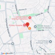 Aynur Çepni Camii harita konumu